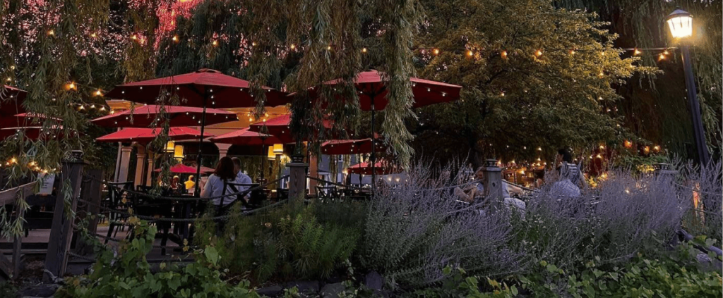 Cozy dinner setting in a forest, with a table surrounded by candlelight, rustic dinnerware, and the peaceful ambiance of nature.