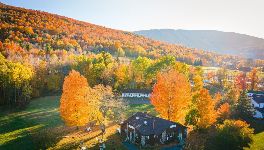 {"type":"elementor","siteurl":"https://visitcatskills.com/wp-json/","elements":[{"id":"555853c","elType":"widget","isInner":false,"isLocked":false,"settings":{"image":{"url":"https://visitcatskills.com/wp-content/uploads/2025/04/03.png","id":5012,"size":"","alt":"Truck loading fresh flowers on a flower farm, surrounded by vibrant blooms ready for harvest.","source":"library"},"width":{"unit":"%","size":100,"sizes":[]},"opacity":{"unit":"px","size":1,"sizes":[]},"css_filters_brightness":{"unit":"px","size":80,"sizes":[]},"background_hover_transition":{"unit":"px","size":1.5,"sizes":[]},"hover_animation":"grow","ekit_all_conditions_list":[],"ekit_adv_tooltip_content":"Tooltip Content.","ekit_cursor_text_label":"Elementskit Cursor","animation_duration":"slow","_background_background":"classic","_background_color_b":"#000000","_background_gradient_angle":{"unit":"deg","size":193,"sizes":[]},"object-fit":"fill","image_size":"large","image_custom_dimension":{"width":"","height":""},"caption_source":"none","caption":"","link_to":"none","link":{"url":"","is_external":"","nofollow":"","custom_attributes":""},"open_lightbox":"default","ekit_enable_masking":"","ekit_masking_shape_type":"default","ekit_masking_default_shapes":"shape-1","ekit_masking_image":{"url":"","id":"","size":""},"ekit_masking_image_position":"center center","ekit_masking_image_position_widescreen":"","ekit_masking_image_position_laptop":"","ekit_masking_image_position_tablet":"","ekit_masking_image_position_mobile":"","ekit_masking_image_position_x":{"unit":"%","size":0,"sizes":[]},"ekit_masking_image_position_x_widescreen":{"unit":"px","size":"","sizes":[]},"ekit_masking_image_position_x_laptop":{"unit":"px","size":"","sizes":[]},"ekit_masking_image_position_x_tablet":{"unit":"px","size":"","sizes":[]},"ekit_masking_image_position_x_mobile":{"unit":"px","size":"","sizes":[]},"ekit_masking_image_position_y":{"unit":"%","size":0,"sizes":[]},"ekit_masking_image_position_y_widescreen":{"unit":"px","size":"","sizes":[]},"ekit_masking_image_position_y_laptop":{"unit":"px","size":"","sizes":[]},"ekit_masking_image_position_y_tablet":{"unit":"px","size":"","sizes":[]},"ekit_masking_image_position_y_mobile":{"unit":"px","size":"","sizes":[]},"ekit_masking_image_repeat":"no-repeat","ekit_masking_image_repeat_widescreen":"","ekit_masking_image_repeat_laptop":"","ekit_masking_image_repeat_tablet":"","ekit_masking_image_repeat_mobile":"","ekit_masking_image_size":"contain","ekit_masking_image_size_widescreen":"","ekit_masking_image_size_laptop":"","ekit_masking_image_size_tablet":"","ekit_masking_image_size_mobile":"","ekit_masking_image_custom_size":{"unit":"%","size":100,"sizes":[]},"ekit_masking_image_custom_size_widescreen":{"unit":"px","size":"","sizes":[]},"ekit_masking_image_custom_size_laptop":{"unit":"px","size":"","sizes":[]},"ekit_masking_image_custom_size_tablet":{"unit":"px","size":"","sizes":[]},"ekit_masking_image_custom_size_mobile":{"unit":"px","size":"","sizes":[]},"align":"","align_widescreen":"","align_laptop":"","align_tablet":"","align_mobile":"","width_widescreen":{"unit":"px","size":"","sizes":[]},"width_laptop":{"unit":"px","size":"","sizes":[]},"width_tablet":{"unit":"%","size":"","sizes":[]},"width_mobile":{"unit":"%","size":"","sizes":[]},"space":{"unit":"%","size":"","sizes":[]},"space_widescreen":{"unit":"px","size":"","sizes":[]},"space_laptop":{"unit":"px","size":"","sizes":[]},"space_tablet":{"unit":"%","size":"","sizes":[]},"space_mobile":{"unit":"%","size":"","sizes":[]},"height":{"unit":"px","size":"","sizes":[]},"height_widescreen":{"unit":"px","size":"","sizes":[]},"height_laptop":{"unit":"px","size":"","sizes":[]},"height_tablet":{"unit":"px","size":"","sizes":[]},"height_mobile":{"unit":"px","size":"","sizes":[]},"object-fit_widescreen":"","object-fit_laptop":"","object-fit_tablet":"","object-fit_mobile":"","object-position":"center center","object-position_widescreen":"","object-position_laptop":"","object-position_tablet":"","object-position_mobile":"","css_filters_css_filter":"","css_filters_blur":{"unit":"px","size":0,"sizes":[]},"css_filters_contrast":{"unit":"px","size":100,"sizes":[]},"css_filters_saturate":{"unit":"px","size":100,"sizes":[]},"css_filters_hue":{"unit":"px","size":0,"sizes":[]},"opacity_hover":{"unit":"px","size":"","sizes":[]},"css_filters_hover_css_filter":"","css_filters_hover_blur":{"unit":"px","size":0,"sizes":[]},"css_filters_hover_brightness":{"unit":"px","size":100,"sizes":[]},"css_filters_hover_contrast":{"unit":"px","size":100,"sizes":[]},"css_filters_hover_saturate":{"unit":"px","size":100,"sizes":[]},"css_filters_hover_hue":{"unit":"px","size":0,"sizes":[]},"image_border_border":"","image_border_width":{"unit":"px","top":"","right":"","bottom":"","left":"","isLinked":true},"image_border_width_widescreen":{"unit":"px","top":"","right":"","bottom":"","left":"","isLinked":true},"image_border_width_laptop":{"unit":"px","top":"","right":"","bottom":"","left":"","isLinked":true},"image_border_width_tablet":{"unit":"px","top":"","right":"","bottom":"","left":"","isLinked":true},"image_border_width_mobile":{"unit":"px","top":"","right":"","bottom":"","left":"","isLinked":true},"image_border_color":"","image_border_radius":{"unit":"px","top":"","right":"","bottom":"","left":"","isLinked":true},"image_border_radius_widescreen":{"unit":"px","top":"","right":"","bottom":"","left":"","isLinked":true},"image_border_radius_laptop":{"unit":"px","top":"","right":"","bottom":"","left":"","isLinked":true},"image_border_radius_tablet":{"unit":"px","top":"","right":"","bottom":"","left":"","isLinked":true},"image_border_radius_mobile":{"unit":"px","top":"","right":"","bottom":"","left":"","isLinked":true},"image_box_shadow_box_shadow_type":"","image_box_shadow_box_shadow":{"horizontal":0,"vertical":0,"blur":10,"spread":0,"color":"rgba(0,0,0,0.5)"},"caption_align":"","caption_align_widescreen":"","caption_align_laptop":"","caption_align_tablet":"","caption_align_mobile":"","text_color":"","caption_background_color":"","caption_typography_typography":"","caption_typography_font_family":"","caption_typography_font_size":{"unit":"px","size":"","sizes":[]},"caption_typography_font_size_widescreen":{"unit":"px","size":"","sizes":[]},"caption_typography_font_size_laptop":{"unit":"px","size":"","sizes":[]},"caption_typography_font_size_tablet":{"unit":"px","size":"","sizes":[]},"caption_typography_font_size_mobile":{"unit":"px","size":"","sizes":[]},"caption_typography_font_weight":"","caption_typography_text_transform":"","caption_typography_font_style":"","caption_typography_text_decoration":"","caption_typography_line_height":{"unit":"px","size":"","sizes":[]},"caption_typography_line_height_widescreen":{"unit":"px","size":"","sizes":[]},"caption_typography_line_height_laptop":{"unit":"px","size":"","sizes":[]},"caption_typography_line_height_tablet":{"unit":"em","size":"","sizes":[]},"caption_typography_line_height_mobile":{"unit":"em","size":"","sizes":[]},"caption_typography_letter_spacing":{"unit":"px","size":"","sizes":[]},"caption_typography_letter_spacing_widescreen":{"unit":"px","size":"","sizes":[]},"caption_typography_letter_spacing_laptop":{"unit":"px","size":"","sizes":[]},"caption_typography_letter_spacing_tablet":{"unit":"px","size":"","sizes":[]},"caption_typography_letter_spacing_mobile":{"unit":"px","size":"","sizes":[]},"caption_typography_word_spacing":{"unit":"px","size":"","sizes":[]},"caption_typography_word_spacing_widescreen":{"unit":"px","size":"","sizes":[]},"caption_typography_word_spacing_laptop":{"unit":"px","size":"","sizes":[]},"caption_typography_word_spacing_tablet":{"unit":"em","size":"","sizes":[]},"caption_typography_word_spacing_mobile":{"unit":"em","size":"","sizes":[]},"caption_text_shadow_text_shadow_type":"","caption_text_shadow_text_shadow":{"horizontal":0,"vertical":0,"blur":10,"color":"rgba(0,0,0,0.3)"},"caption_space":{"unit":"px","size":"","sizes":[]},"caption_space_widescreen":{"unit":"px","size":"","sizes":[]},"caption_space_laptop":{"unit":"px","size":"","sizes":[]},"caption_space_tablet":{"unit":"px","size":"","sizes":[]},"caption_space_mobile":{"unit":"px","size":"","sizes":[]},"_title":"","_margin":{"unit":"px","top":"","right":"","bottom":"","left":"","isLinked":true},"_margin_widescreen":{"unit":"px","top":"","right":"","bottom":"","left":"","isLinked":true},"_margin_laptop":{"unit":"px","top":"","right":"","bottom":"","left":"","isLinked":true},"_margin_tablet":{"unit":"px","top":"","right":"","bottom":"","left":"","isLinked":true},"_margin_mobile":{"unit":"px","top":"","right":"","bottom":"","left":"","isLinked":true},"_padding":{"unit":"px","top":"","right":"","bottom":"","left":"","isLinked":true},"_padding_widescreen":{"unit":"px","top":"","right":"","bottom":"","left":"","isLinked":true},"_padding_laptop":{"unit":"px","top":"","right":"","bottom":"","left":"","isLinked":true},"_padding_tablet":{"unit":"px","top":"","right":"","bottom":"","left":"","isLinked":true},"_padding_mobile":{"unit":"px","top":"","right":"","bottom":"","left":"","isLinked":true},"_element_width":"","_element_width_widescreen":"","_element_width_laptop":"","_element_width_tablet":"","_element_width_mobile":"","_element_custom_width":{"unit":"%","size":"","sizes":[]},"_element_custom_width_widescreen":{"unit":"px","size":"","sizes":[]},"_element_custom_width_laptop":{"unit":"px","size":"","sizes":[]},"_element_custom_width_tablet":{"unit":"px","size":"","sizes":[]},"_element_custom_width_mobile":{"unit":"px","size":"","sizes":[]},"_grid_column":"","_grid_column_widescreen":"","_grid_column_laptop":"","_grid_column_tablet":"","_grid_column_mobile":"","_grid_column_custom":"","_grid_column_custom_widescreen":"","_grid_column_custom_laptop":"","_grid_column_custom_tablet":"","_grid_column_custom_mobile":"","_grid_row":"","_grid_row_widescreen":"","_grid_row_laptop":"","_grid_row_tablet":"","_grid_row_mobile":"","_grid_row_custom":"","_grid_row_custom_widescreen":"","_grid_row_custom_laptop":"","_grid_row_custom_tablet":"","_grid_row_custom_mobile":"","_element_vertical_align":"","_element_vertical_align_widescreen":"","_element_vertical_align_laptop":"","_element_vertical_align_tablet":"","_element_vertical_align_mobile":"","_position":"","_offset_orientation_h":"start","_offset_x":{"unit":"px","size":0,"sizes":[]},"_offset_x_widescreen":{"unit":"px","size":"","sizes":[]},"_offset_x_laptop":{"unit":"px","size":"","sizes":[]},"_offset_x_tablet":{"unit":"px","size":"","sizes":[]},"_offset_x_mobile":{"unit":"px","size":"","sizes":[]},"_offset_x_end":{"unit":"px","size":0,"sizes":[]},"_offset_x_end_widescreen":{"unit":"px","size":"","sizes":[]},"_offset_x_end_laptop":{"unit":"px","size":"","sizes":[]},"_offset_x_end_tablet":{"unit":"px","size":"","sizes":[]},"_offset_x_end_mobile":{"unit":"px","size":"","sizes":[]},"_offset_orientation_v":"start","_offset_y":{"unit":"px","size":0,"sizes":[]},"_offset_y_widescreen":{"unit":"px","size":"","sizes":[]},"_offset_y_laptop":{"unit":"px","size":"","sizes":[]},"_offset_y_tablet":{"unit":"px","size":"","sizes":[]},"_offset_y_mobile":{"unit":"px","size":"","sizes":[]},"_offset_y_end":{"unit":"px","size":0,"sizes":[]},"_offset_y_end_widescreen":{"unit":"px","size":"","sizes":[]},"_offset_y_end_laptop":{"unit":"px","size":"","sizes":[]},"_offset_y_end_tablet":{"unit":"px","size":"","sizes":[]},"_offset_y_end_mobile":{"unit":"px","size":"","sizes":[]},"_z_index":"","_z_index_widescreen":"","_z_index_laptop":"","_z_index_tablet":"","_z_index_mobile":"","_element_id":"","_css_classes":"","e_display_conditions":"","ekit_condition_enable":"","ekit_condition_relation":"and","ekit_we_effect_on":"none","ekit_we_css_animation_fx":"","ekit_we_css_animation":"ekit-fade","ekit_we_css_animation_widescreen":"","ekit_we_css_animation_laptop":"","ekit_we_css_animation_tablet":"","ekit_we_css_animation_mobile":"","ekit_we_css_animation_speed":"5","ekit_we_css_animation_iteration_count":"infinite","ekit_we_css_animation_direction":"normal","ekit_we_css_transform_fx":"","ekit_we_css_transform_fx_translate_toggle":"","ekit_we_css_transform_fx_translate_x":{"unit":"px","size":"","sizes":[]},"ekit_we_css_transform_fx_translate_x_widescreen":{"unit":"px","size":"","sizes":[]},"ekit_we_css_transform_fx_translate_x_laptop":{"unit":"px","size":"","sizes":[]},"ekit_we_css_transform_fx_translate_x_tablet":{"unit":"px","size":"","sizes":[]},"ekit_we_css_transform_fx_translate_x_mobile":{"unit":"px","size":"","sizes":[]},"ekit_we_css_transform_fx_translate_y":{"unit":"px","size":"","sizes":[]},"ekit_we_css_transform_fx_translate_y_widescreen":{"unit":"px","size":"","sizes":[]},"ekit_we_css_transform_fx_translate_y_laptop":{"unit":"px","size":"","sizes":[]},"ekit_we_css_transform_fx_translate_y_tablet":{"unit":"px","size":"","sizes":[]},"ekit_we_css_transform_fx_translate_y_mobile":{"unit":"px","size":"","sizes":[]},"ekit_we_css_transform_fx_rotate_toggle":"","ekit_we_css_transform_fx_rotate_z":{"unit":"px","size":"","sizes":[]},"ekit_we_css_transform_fx_rotate_z_widescreen":{"unit":"px","size":"","sizes":[]},"ekit_we_css_transform_fx_rotate_z_laptop":{"unit":"px","size":"","sizes":[]},"ekit_we_css_transform_fx_rotate_z_tablet":{"unit":"px","size":"","sizes":[]},"ekit_we_css_transform_fx_rotate_z_mobile":{"unit":"px","size":"","sizes":[]},"ekit_we_css_transform_fx_rotate_x":{"unit":"px","size":"","sizes":[]},"ekit_we_css_transform_fx_rotate_x_widescreen":{"unit":"px","size":"","sizes":[]},"ekit_we_css_transform_fx_rotate_x_laptop":{"unit":"px","size":"","sizes":[]},"ekit_we_css_transform_fx_rotate_x_tablet":{"unit":"px","size":"","sizes":[]},"ekit_we_css_transform_fx_rotate_x_mobile":{"unit":"px","size":"","sizes":[]},"ekit_we_css_transform_fx_rotate_y":{"unit":"px","size":"","sizes":[]},"ekit_we_css_transform_fx_rotate_y_widescreen":{"unit":"px","size":"","sizes":[]},"ekit_we_css_transform_fx_rotate_y_laptop":{"unit":"px","size":"","sizes":[]},"ekit_we_css_transform_fx_rotate_y_tablet":{"unit":"px","size":"","sizes":[]},"ekit_we_css_transform_fx_rotate_y_mobile":{"unit":"px","size":"","sizes":[]},"ekit_we_css_transform_fx_scale_toggle":"","ekit_we_css_transform_fx_scale_x":{"unit":"px","size":1,"sizes":[]},"ekit_we_css_transform_fx_scale_x_widescreen":{"unit":"px","size":"","sizes":[]},"ekit_we_css_transform_fx_scale_x_laptop":{"unit":"px","size":"","sizes":[]},"ekit_we_css_transform_fx_scale_x_tablet":{"unit":"px","size":"","sizes":[]},"ekit_we_css_transform_fx_scale_x_mobile":{"unit":"px","size":"","sizes":[]},"ekit_we_css_transform_fx_scale_y":{"unit":"px","size":1,"sizes":[]},"ekit_we_css_transform_fx_scale_y_widescreen":{"unit":"px","size":"","sizes":[]},"ekit_we_css_transform_fx_scale_y_laptop":{"unit":"px","size":"","sizes":[]},"ekit_we_css_transform_fx_scale_y_tablet":{"unit":"px","size":"","sizes":[]},"ekit_we_css_transform_fx_scale_y_mobile":{"unit":"px","size":"","sizes":[]},"ekit_we_css_transform_fx_skew_toggle":"","ekit_we_css_transform_fx_skew_x":{"unit":"px","size":"","sizes":[]},"ekit_we_css_transform_fx_skew_x_widescreen":{"unit":"px","size":"","sizes":[]},"ekit_we_css_transform_fx_skew_x_laptop":{"unit":"px","size":"","sizes":[]},"ekit_we_css_transform_fx_skew_x_tablet":{"unit":"px","size":"","sizes":[]},"ekit_we_css_transform_fx_skew_x_mobile":{"unit":"px","size":"","sizes":[]},"ekit_we_css_transform_fx_skew_y":{"unit":"px","size":"","sizes":[]},"ekit_we_css_transform_fx_skew_y_widescreen":{"unit":"px","size":"","sizes":[]},"ekit_we_css_transform_fx_skew_y_laptop":{"unit":"px","size":"","sizes":[]},"ekit_we_css_transform_fx_skew_y_tablet":{"unit":"px","size":"","sizes":[]},"ekit_we_css_transform_fx_skew_y_mobile":{"unit":"px","size":"","sizes":[]},"ekit_we_on_test_mode":"on","ekit_we_tilt_maxtilt":20,"ekit_we_tilt_scale":1,"ekit_we_tilt_disableaxis":"","ekit_we_mousemove_parallax_speed":40,"ekit_we_scroll_animation":"translateY","ekit_we_scroll_animation_value":250,"ekit_we_scroll_smoothness":700,"ekit_we_scroll_offsettop":0,"ekit_we_scroll_offsetbottom":0,"ekit_sticky":"","ekit_sticky_until":"","ekit_sticky_offset":{"unit":"px","size":0,"sizes":[]},"ekit_sticky_offset_widescreen":{"unit":"px","size":"","sizes":[]},"ekit_sticky_offset_laptop":{"unit":"px","size":"","sizes":[]},"ekit_sticky_offset_tablet":{"unit":"px","size":"","sizes":[]},"ekit_sticky_offset_mobile":{"unit":"px","size":"","sizes":[]},"ekit_sticky_color":"","ekit_sticky_on_widescreen":"widescreen","ekit_sticky_on_desktop":"desktop","ekit_sticky_on_laptop":"laptop","ekit_sticky_on_tablet":"tablet","ekit_sticky_on_mobile":"mobile","ekit_sticky_effect_offset":{"unit":"px","size":0,"sizes":[]},"ekit_sticky_effect_offset_widescreen":{"unit":"px","size":"","sizes":[]},"ekit_sticky_effect_offset_laptop":{"unit":"px","size":"","sizes":[]},"ekit_sticky_effect_offset_tablet":{"unit":"px","size":"","sizes":[]},"ekit_sticky_effect_offset_mobile":{"unit":"px","size":"","sizes":[]},"ekit_adv_tooltip_enable":"","ekit_adv_tooltip_subcontent":"","ekit_adv_tooltip_image":{"url":"","id":"","size":""},"ekit_adv_tooltip_position":"top","ekit_adv_tooltip_animation":"fade","ekit_adv_tooltip_arrow":1,"ekit_adv_tooltip_trigger":"mouseenter","ekit_adv_tooltip_width":{"unit":"px","size":"","sizes":[]},"ekit_adv_tooltip_font_typography":"","ekit_adv_tooltip_font_font_family":"","ekit_adv_tooltip_font_font_size":{"unit":"px","size":"","sizes":[]},"ekit_adv_tooltip_font_font_size_widescreen":{"unit":"px","size":"","sizes":[]},"ekit_adv_tooltip_font_font_size_laptop":{"unit":"px","size":"","sizes":[]},"ekit_adv_tooltip_font_font_size_tablet":{"unit":"px","size":"","sizes":[]},"ekit_adv_tooltip_font_font_size_mobile":{"unit":"px","size":"","sizes":[]},"ekit_adv_tooltip_font_font_weight":"","ekit_adv_tooltip_font_text_transform":"","ekit_adv_tooltip_font_font_style":"","ekit_adv_tooltip_font_text_decoration":"","ekit_adv_tooltip_font_line_height":{"unit":"px","size":"","sizes":[]},"ekit_adv_tooltip_font_line_height_widescreen":{"unit":"px","size":"","sizes":[]},"ekit_adv_tooltip_font_line_height_laptop":{"unit":"px","size":"","sizes":[]},"ekit_adv_tooltip_font_line_height_tablet":{"unit":"em","size":"","sizes":[]},"ekit_adv_tooltip_font_line_height_mobile":{"unit":"em","size":"","sizes":[]},"ekit_adv_tooltip_font_letter_spacing":{"unit":"px","size":"","sizes":[]},"ekit_adv_tooltip_font_letter_spacing_widescreen":{"unit":"px","size":"","sizes":[]},"ekit_adv_tooltip_font_letter_spacing_laptop":{"unit":"px","size":"","sizes":[]},"ekit_adv_tooltip_font_letter_spacing_tablet":{"unit":"px","size":"","sizes":[]},"ekit_adv_tooltip_font_letter_spacing_mobile":{"unit":"px","size":"","sizes":[]},"ekit_adv_tooltip_font_word_spacing":{"unit":"px","size":"","sizes":[]},"ekit_adv_tooltip_font_word_spacing_widescreen":{"unit":"px","size":"","sizes":[]},"ekit_adv_tooltip_font_word_spacing_laptop":{"unit":"px","size":"","sizes":[]},"ekit_adv_tooltip_font_word_spacing_tablet":{"unit":"em","size":"","sizes":[]},"ekit_adv_tooltip_font_word_spacing_mobile":{"unit":"em","size":"","sizes":[]},"ekit_adv_tooltip_color":"","ekit_adv_tooltip_bg_background":"","ekit_adv_tooltip_bg_color":"","ekit_adv_tooltip_bg_color_stop":{"unit":"%","size":0,"sizes":[]},"ekit_adv_tooltip_bg_color_stop_widescreen":{"unit":"%"},"ekit_adv_tooltip_bg_color_stop_laptop":{"unit":"%"},"ekit_adv_tooltip_bg_color_stop_tablet":{"unit":"%"},"ekit_adv_tooltip_bg_color_stop_mobile":{"unit":"%"},"ekit_adv_tooltip_bg_color_b":"#f2295b","ekit_adv_tooltip_bg_color_b_stop":{"unit":"%","size":100,"sizes":[]},"ekit_adv_tooltip_bg_color_b_stop_widescreen":{"unit":"%"},"ekit_adv_tooltip_bg_color_b_stop_laptop":{"unit":"%"},"ekit_adv_tooltip_bg_color_b_stop_tablet":{"unit":"%"},"ekit_adv_tooltip_bg_color_b_stop_mobile":{"unit":"%"},"ekit_adv_tooltip_bg_gradient_type":"linear","ekit_adv_tooltip_bg_gradient_angle":{"unit":"deg","size":180,"sizes":[]},"ekit_adv_tooltip_bg_gradient_angle_widescreen":{"unit":"deg"},"ekit_adv_tooltip_bg_gradient_angle_laptop":{"unit":"deg"},"ekit_adv_tooltip_bg_gradient_angle_tablet":{"unit":"deg"},"ekit_adv_tooltip_bg_gradient_angle_mobile":{"unit":"deg"},"ekit_adv_tooltip_bg_gradient_position":"center center","ekit_adv_tooltip_bg_gradient_position_widescreen":"","ekit_adv_tooltip_bg_gradient_position_laptop":"","ekit_adv_tooltip_bg_gradient_position_tablet":"","ekit_adv_tooltip_bg_gradient_position_mobile":"","ekit_adv_tooltip_bg_position":"","ekit_adv_tooltip_bg_position_widescreen":"","ekit_adv_tooltip_bg_position_laptop":"","ekit_adv_tooltip_bg_position_tablet":"","ekit_adv_tooltip_bg_position_mobile":"","ekit_adv_tooltip_bg_xpos":{"unit":"px","size":0,"sizes":[]},"ekit_adv_tooltip_bg_xpos_widescreen":{"unit":"px","size":"","sizes":[]},"ekit_adv_tooltip_bg_xpos_laptop":{"unit":"px","size":"","sizes":[]},"ekit_adv_tooltip_bg_xpos_tablet":{"unit":"px","size":0,"sizes":[]},"ekit_adv_tooltip_bg_xpos_mobile":{"unit":"px","size":0,"sizes":[]},"ekit_adv_tooltip_bg_ypos":{"unit":"px","size":0,"sizes":[]},"ekit_adv_tooltip_bg_ypos_widescreen":{"unit":"px","size":"","sizes":[]},"ekit_adv_tooltip_bg_ypos_laptop":{"unit":"px","size":"","sizes":[]},"ekit_adv_tooltip_bg_ypos_tablet":{"unit":"px","size":0,"sizes":[]},"ekit_adv_tooltip_bg_ypos_mobile":{"unit":"px","size":0,"sizes":[]},"ekit_adv_tooltip_bg_attachment":"","ekit_adv_tooltip_bg_repeat":"","ekit_adv_tooltip_bg_repeat_widescreen":"","ekit_adv_tooltip_bg_repeat_laptop":"","ekit_adv_tooltip_bg_repeat_tablet":"","ekit_adv_tooltip_bg_repeat_mobile":"","ekit_adv_tooltip_bg_size":"","ekit_adv_tooltip_bg_size_widescreen":"","ekit_adv_tooltip_bg_size_laptop":"","ekit_adv_tooltip_bg_size_tablet":"","ekit_adv_tooltip_bg_size_mobile":"","ekit_adv_tooltip_bg_bg_width":{"unit":"%","size":100,"sizes":[]},"ekit_adv_tooltip_bg_bg_width_widescreen":{"unit":"px","size":"","sizes":[]},"ekit_adv_tooltip_bg_bg_width_laptop":{"unit":"px","size":"","sizes":[]},"ekit_adv_tooltip_bg_bg_width_tablet":{"unit":"px","size":"","sizes":[]},"ekit_adv_tooltip_bg_bg_width_mobile":{"unit":"px","size":"","sizes":[]},"ekit_adv_tooltip_bg_video_link":"","ekit_adv_tooltip_bg_video_start":"","ekit_adv_tooltip_bg_video_end":"","ekit_adv_tooltip_bg_play_once":"","ekit_adv_tooltip_bg_play_on_mobile":"","ekit_adv_tooltip_bg_privacy_mode":"","ekit_adv_tooltip_bg_video_fallback":{"url":"","id":"","size":""},"ekit_adv_tooltip_bg_slideshow_gallery":[],"ekit_adv_tooltip_bg_slideshow_loop":"yes","ekit_adv_tooltip_bg_slideshow_slide_duration":5000,"ekit_adv_tooltip_bg_slideshow_slide_transition":"fade","ekit_adv_tooltip_bg_slideshow_transition_duration":500,"ekit_adv_tooltip_bg_slideshow_background_size":"","ekit_adv_tooltip_bg_slideshow_background_size_widescreen":"","ekit_adv_tooltip_bg_slideshow_background_size_laptop":"","ekit_adv_tooltip_bg_slideshow_background_size_tablet":"","ekit_adv_tooltip_bg_slideshow_background_size_mobile":"","ekit_adv_tooltip_bg_slideshow_background_position":"","ekit_adv_tooltip_bg_slideshow_background_position_widescreen":"","ekit_adv_tooltip_bg_slideshow_background_position_laptop":"","ekit_adv_tooltip_bg_slideshow_background_position_tablet":"","ekit_adv_tooltip_bg_slideshow_background_position_mobile":"","ekit_adv_tooltip_bg_slideshow_lazyload":"","ekit_adv_tooltip_bg_slideshow_ken_burns":"","ekit_adv_tooltip_bg_slideshow_ken_burns_zoom_direction":"in","ekit_adv_tooltip_arrow_color":"","ekit_adv_tooltip_subcontent_color":"","ekit_adv_tooltip_subcontent_font_typography":"","ekit_adv_tooltip_subcontent_font_font_family":"","ekit_adv_tooltip_subcontent_font_font_size":{"unit":"px","size":"","sizes":[]},"ekit_adv_tooltip_subcontent_font_font_size_widescreen":{"unit":"px","size":"","sizes":[]},"ekit_adv_tooltip_subcontent_font_font_size_laptop":{"unit":"px","size":"","sizes":[]},"ekit_adv_tooltip_subcontent_font_font_size_tablet":{"unit":"px","size":"","sizes":[]},"ekit_adv_tooltip_subcontent_font_font_size_mobile":{"unit":"px","size":"","sizes":[]},"ekit_adv_tooltip_subcontent_font_font_weight":"","ekit_adv_tooltip_subcontent_font_text_transform":"","ekit_adv_tooltip_subcontent_font_font_style":"","ekit_adv_tooltip_subcontent_font_text_decoration":"","ekit_adv_tooltip_subcontent_font_line_height":{"unit":"px","size":"","sizes":[]},"ekit_adv_tooltip_subcontent_font_line_height_widescreen":{"unit":"px","size":"","sizes":[]},"ekit_adv_tooltip_subcontent_font_line_height_laptop":{"unit":"px","size":"","sizes":[]},"ekit_adv_tooltip_subcontent_font_line_height_tablet":{"unit":"em","size":"","sizes":[]},"ekit_adv_tooltip_subcontent_font_line_height_mobile":{"unit":"em","size":"","sizes":[]},"ekit_adv_tooltip_subcontent_font_letter_spacing":{"unit":"px","size":"","sizes":[]},"ekit_adv_tooltip_subcontent_font_letter_spacing_widescreen":{"unit":"px","size":"","sizes":[]},"ekit_adv_tooltip_subcontent_font_letter_spacing_laptop":{"unit":"px","size":"","sizes":[]},"ekit_adv_tooltip_subcontent_font_letter_spacing_tablet":{"unit":"px","size":"","sizes":[]},"ekit_adv_tooltip_subcontent_font_letter_spacing_mobile":{"unit":"px","size":"","sizes":[]},"ekit_adv_tooltip_subcontent_font_word_spacing":{"unit":"px","size":"","sizes":[]},"ekit_adv_tooltip_subcontent_font_word_spacing_widescreen":{"unit":"px","size":"","sizes":[]},"ekit_adv_tooltip_subcontent_font_word_spacing_laptop":{"unit":"px","size":"","sizes":[]},"ekit_adv_tooltip_subcontent_font_word_spacing_tablet":{"unit":"em","size":"","sizes":[]},"ekit_adv_tooltip_subcontent_font_word_spacing_mobile":{"unit":"em","size":"","sizes":[]},"ekit_adv_tooltip_subcontent_padding":{"unit":"px","top":"","right":"","bottom":"","left":"","isLinked":true},"ekit_adv_tooltip_offset_x":"","ekit_adv_tooltip_offset_y":"","ekit_adv_tooltip_padding":{"unit":"px","top":"","right":"","bottom":"","left":"","isLinked":true},"ekit_adv_tooltip_border_border":"","ekit_adv_tooltip_border_width":{"unit":"px","top":"","right":"","bottom":"","left":"","isLinked":true},"ekit_adv_tooltip_border_width_widescreen":{"unit":"px","top":"","right":"","bottom":"","left":"","isLinked":true},"ekit_adv_tooltip_border_width_laptop":{"unit":"px","top":"","right":"","bottom":"","left":"","isLinked":true},"ekit_adv_tooltip_border_width_tablet":{"unit":"px","top":"","right":"","bottom":"","left":"","isLinked":true},"ekit_adv_tooltip_border_width_mobile":{"unit":"px","top":"","right":"","bottom":"","left":"","isLinked":true},"ekit_adv_tooltip_border_color":"","ekit_adv_tooltip_radius":{"unit":"px","top":"","right":"","bottom":"","left":"","isLinked":true},"ekit_adv_tooltip_shadow_box_shadow_type":"","ekit_adv_tooltip_shadow_box_shadow":{"horizontal":0,"vertical":0,"blur":10,"spread":0,"color":"rgba(0,0,0,0.5)"},"ekit_adv_tooltip_shadow_box_shadow_position":" ","elementskit_wrapper_link_enable":"no","elementskit_wrapper_link":{"url":"","is_external":"","nofollow":"","custom_attributes":""},"ekit_glass_morphism":"","ekit_glass_morphism_blur":{"unit":"px","size":0,"sizes":[]},"ekit_glass_morphism_brightness":{"unit":"px","size":1,"sizes":[]},"ekit_glass_morphism_contrast":{"unit":"px","size":1,"sizes":[]},"ekit_glass_morphism_saturation":{"unit":"px","size":1,"sizes":[]},"ekit_glass_morphism_grayscale":{"unit":"px","size":1,"sizes":[]},"ekit_glass_morphism_hue":{"unit":"px","size":0,"sizes":[]},"ekit_cursor_show":"","ekit_cursor_type":"text","ekit_cursor_image_src":{"url":"","id":"","size":""},"ekit_cursor_icons":{"value":"fas fa-laugh-wink","library":"fa-solid"},"ekit_cursor_text_typography_typography":"","ekit_cursor_text_typography_font_family":"","ekit_cursor_text_typography_font_size":{"unit":"px","size":"","sizes":[]},"ekit_cursor_text_typography_font_size_widescreen":{"unit":"px","size":"","sizes":[]},"ekit_cursor_text_typography_font_size_laptop":{"unit":"px","size":"","sizes":[]},"ekit_cursor_text_typography_font_size_tablet":{"unit":"px","size":"","sizes":[]},"ekit_cursor_text_typography_font_size_mobile":{"unit":"px","size":"","sizes":[]},"ekit_cursor_text_typography_font_weight":"","ekit_cursor_text_typography_text_transform":"","ekit_cursor_text_typography_font_style":"","ekit_cursor_text_typography_text_decoration":"","ekit_cursor_text_typography_line_height":{"unit":"px","size":"","sizes":[]},"ekit_cursor_text_typography_line_height_widescreen":{"unit":"px","size":"","sizes":[]},"ekit_cursor_text_typography_line_height_laptop":{"unit":"px","size":"","sizes":[]},"ekit_cursor_text_typography_line_height_tablet":{"unit":"em","size":"","sizes":[]},"ekit_cursor_text_typography_line_height_mobile":{"unit":"em","size":"","sizes":[]},"ekit_cursor_text_typography_letter_spacing":{"unit":"px","size":"","sizes":[]},"ekit_cursor_text_typography_letter_spacing_widescreen":{"unit":"px","size":"","sizes":[]},"ekit_cursor_text_typography_letter_spacing_laptop":{"unit":"px","size":"","sizes":[]},"ekit_cursor_text_typography_letter_spacing_tablet":{"unit":"px","size":"","sizes":[]},"ekit_cursor_text_typography_letter_spacing_mobile":{"unit":"px","size":"","sizes":[]},"ekit_cursor_text_typography_word_spacing":{"unit":"px","size":"","sizes":[]},"ekit_cursor_text_typography_word_spacing_widescreen":{"unit":"px","size":"","sizes":[]},"ekit_cursor_text_typography_word_spacing_laptop":{"unit":"px","size":"","sizes":[]},"ekit_cursor_text_typography_word_spacing_tablet":{"unit":"em","size":"","sizes":[]},"ekit_cursor_text_typography_word_spacing_mobile":{"unit":"em","size":"","sizes":[]},"ekit_cursor_text_color":"","ekit_cursor_text_background_background":"","ekit_cursor_text_background_color":"","ekit_cursor_text_background_color_stop":{"unit":"%","size":0,"sizes":[]},"ekit_cursor_text_background_color_stop_widescreen":{"unit":"%"},"ekit_cursor_text_background_color_stop_laptop":{"unit":"%"},"ekit_cursor_text_background_color_stop_tablet":{"unit":"%"},"ekit_cursor_text_background_color_stop_mobile":{"unit":"%"},"ekit_cursor_text_background_color_b":"#f2295b","ekit_cursor_text_background_color_b_stop":{"unit":"%","size":100,"sizes":[]},"ekit_cursor_text_background_color_b_stop_widescreen":{"unit":"%"},"ekit_cursor_text_background_color_b_stop_laptop":{"unit":"%"},"ekit_cursor_text_background_color_b_stop_tablet":{"unit":"%"},"ekit_cursor_text_background_color_b_stop_mobile":{"unit":"%"},"ekit_cursor_text_background_gradient_type":"linear","ekit_cursor_text_background_gradient_angle":{"unit":"deg","size":180,"sizes":[]},"ekit_cursor_text_background_gradient_angle_widescreen":{"unit":"deg"},"ekit_cursor_text_background_gradient_angle_laptop":{"unit":"deg"},"ekit_cursor_text_background_gradient_angle_tablet":{"unit":"deg"},"ekit_cursor_text_background_gradient_angle_mobile":{"unit":"deg"},"ekit_cursor_text_background_gradient_position":"center center","ekit_cursor_text_background_gradient_position_widescreen":"","ekit_cursor_text_background_gradient_position_laptop":"","ekit_cursor_text_background_gradient_position_tablet":"","ekit_cursor_text_background_gradient_position_mobile":"","ekit_cursor_text_background_position":"","ekit_cursor_text_background_position_widescreen":"","ekit_cursor_text_background_position_laptop":"","ekit_cursor_text_background_position_tablet":"","ekit_cursor_text_background_position_mobile":"","ekit_cursor_text_background_xpos":{"unit":"px","size":0,"sizes":[]},"ekit_cursor_text_background_xpos_widescreen":{"unit":"px","size":"","sizes":[]},"ekit_cursor_text_background_xpos_laptop":{"unit":"px","size":"","sizes":[]},"ekit_cursor_text_background_xpos_tablet":{"unit":"px","size":0,"sizes":[]},"ekit_cursor_text_background_xpos_mobile":{"unit":"px","size":0,"sizes":[]},"ekit_cursor_text_background_ypos":{"unit":"px","size":0,"sizes":[]},"ekit_cursor_text_background_ypos_widescreen":{"unit":"px","size":"","sizes":[]},"ekit_cursor_text_background_ypos_laptop":{"unit":"px","size":"","sizes":[]},"ekit_cursor_text_background_ypos_tablet":{"unit":"px","size":0,"sizes":[]},"ekit_cursor_text_background_ypos_mobile":{"unit":"px","size":0,"sizes":[]},"ekit_cursor_text_background_attachment":"","ekit_cursor_text_background_repeat":"","ekit_cursor_text_background_repeat_widescreen":"","ekit_cursor_text_background_repeat_laptop":"","ekit_cursor_text_background_repeat_tablet":"","ekit_cursor_text_background_repeat_mobile":"","ekit_cursor_text_background_size":"","ekit_cursor_text_background_size_widescreen":"","ekit_cursor_text_background_size_laptop":"","ekit_cursor_text_background_size_tablet":"","ekit_cursor_text_background_size_mobile":"","ekit_cursor_text_background_bg_width":{"unit":"%","size":100,"sizes":[]},"ekit_cursor_text_background_bg_width_widescreen":{"unit":"px","size":"","sizes":[]},"ekit_cursor_text_background_bg_width_laptop":{"unit":"px","size":"","sizes":[]},"ekit_cursor_text_background_bg_width_tablet":{"unit":"px","size":"","sizes":[]},"ekit_cursor_text_background_bg_width_mobile":{"unit":"px","size":"","sizes":[]},"ekit_cursor_text_background_video_link":"","ekit_cursor_text_background_video_start":"","ekit_cursor_text_background_video_end":"","ekit_cursor_text_background_play_once":"","ekit_cursor_text_background_play_on_mobile":"","ekit_cursor_text_background_privacy_mode":"","ekit_cursor_text_background_video_fallback":{"url":"","id":"","size":""},"ekit_cursor_text_background_slideshow_gallery":[],"ekit_cursor_text_background_slideshow_loop":"yes","ekit_cursor_text_background_slideshow_slide_duration":5000,"ekit_cursor_text_background_slideshow_slide_transition":"fade","ekit_cursor_text_background_slideshow_transition_duration":500,"ekit_cursor_text_background_slideshow_background_size":"","ekit_cursor_text_background_slideshow_background_size_widescreen":"","ekit_cursor_text_background_slideshow_background_size_laptop":"","ekit_cursor_text_background_slideshow_background_size_tablet":"","ekit_cursor_text_background_slideshow_background_size_mobile":"","ekit_cursor_text_background_slideshow_background_position":"","ekit_cursor_text_background_slideshow_background_position_widescreen":"","ekit_cursor_text_background_slideshow_background_position_laptop":"","ekit_cursor_text_background_slideshow_background_position_tablet":"","ekit_cursor_text_background_slideshow_background_position_mobile":"","ekit_cursor_text_background_slideshow_lazyload":"","ekit_cursor_text_background_slideshow_ken_burns":"","ekit_cursor_text_background_slideshow_ken_burns_zoom_direction":"in","ekit_cursor_text_border_border":"","ekit_cursor_text_border_width":{"unit":"px","top":"","right":"","bottom":"","left":"","isLinked":true},"ekit_cursor_text_border_width_widescreen":{"unit":"px","top":"","right":"","bottom":"","left":"","isLinked":true},"ekit_cursor_text_border_width_laptop":{"unit":"px","top":"","right":"","bottom":"","left":"","isLinked":true},"ekit_cursor_text_border_width_tablet":{"unit":"px","top":"","right":"","bottom":"","left":"","isLinked":true},"ekit_cursor_text_border_width_mobile":{"unit":"px","top":"","right":"","bottom":"","left":"","isLinked":true},"ekit_cursor_text_border_color":"","ekit_cursor_text_radius":{"unit":"px","top":"","right":"","bottom":"","left":"","isLinked":true},"ekit_cursor_text_radius_widescreen":{"unit":"px","top":"","right":"","bottom":"","left":"","isLinked":true},"ekit_cursor_text_radius_laptop":{"unit":"px","top":"","right":"","bottom":"","left":"","isLinked":true},"ekit_cursor_text_radius_tablet":{"unit":"px","top":"","right":"","bottom":"","left":"","isLinked":true},"ekit_cursor_text_radius_mobile":{"unit":"px","top":"","right":"","bottom":"","left":"","isLinked":true},"ekit_cursor_text_padding":{"unit":"px","top":"","right":"","bottom":"","left":"","isLinked":true},"ekit_cursor_text_padding_widescreen":{"unit":"px","top":"","right":"","bottom":"","left":"","isLinked":true},"ekit_cursor_text_padding_laptop":{"unit":"px","top":"","right":"","bottom":"","left":"","isLinked":true},"ekit_cursor_text_padding_tablet":{"unit":"px","top":"","right":"","bottom":"","left":"","isLinked":true},"ekit_cursor_text_padding_mobile":{"unit":"px","top":"","right":"","bottom":"","left":"","isLinked":true},"ekit_cursor_image_size":{"unit":"px","size":60,"sizes":[]},"ekit_cursor_image_size_widescreen":{"unit":"px","size":"","sizes":[]},"ekit_cursor_image_size_laptop":{"unit":"px","size":"","sizes":[]},"ekit_cursor_image_size_tablet":{"unit":"px","size":"","sizes":[]},"ekit_cursor_image_size_mobile":{"unit":"px","size":"","sizes":[]},"ekit_cursor_image_border_border":"","ekit_cursor_image_border_width":{"unit":"px","top":"","right":"","bottom":"","left":"","isLinked":true},"ekit_cursor_image_border_width_widescreen":{"unit":"px","top":"","right":"","bottom":"","left":"","isLinked":true},"ekit_cursor_image_border_width_laptop":{"unit":"px","top":"","right":"","bottom":"","left":"","isLinked":true},"ekit_cursor_image_border_width_tablet":{"unit":"px","top":"","right":"","bottom":"","left":"","isLinked":true},"ekit_cursor_image_border_width_mobile":{"unit":"px","top":"","right":"","bottom":"","left":"","isLinked":true},"ekit_cursor_image_border_color":"","ekit_cursor_image_radius":{"unit":"px","top":"","right":"","bottom":"","left":"","isLinked":true},"ekit_cursor_image_radius_widescreen":{"unit":"px","top":"","right":"","bottom":"","left":"","isLinked":true},"ekit_cursor_image_radius_laptop":{"unit":"px","top":"","right":"","bottom":"","left":"","isLinked":true},"ekit_cursor_image_radius_tablet":{"unit":"px","top":"","right":"","bottom":"","left":"","isLinked":true},"ekit_cursor_image_radius_mobile":{"unit":"px","top":"","right":"","bottom":"","left":"","isLinked":true},"ekit_cursor_icons_size":{"unit":"px","size":60,"sizes":[]},"ekit_cursor_icons_size_widescreen":{"unit":"px","size":"","sizes":[]},"ekit_cursor_icons_size_laptop":{"unit":"px","size":"","sizes":[]},"ekit_cursor_icons_size_tablet":{"unit":"px","size":"","sizes":[]},"ekit_cursor_icons_size_mobile":{"unit":"px","size":"","sizes":[]},"ekit_cursor_icon_color":"","ekit_cursor_icon_background_background":"","ekit_cursor_icon_background_color":"","ekit_cursor_icon_background_color_stop":{"unit":"%","size":0,"sizes":[]},"ekit_cursor_icon_background_color_stop_widescreen":{"unit":"%"},"ekit_cursor_icon_background_color_stop_laptop":{"unit":"%"},"ekit_cursor_icon_background_color_stop_tablet":{"unit":"%"},"ekit_cursor_icon_background_color_stop_mobile":{"unit":"%"},"ekit_cursor_icon_background_color_b":"#f2295b","ekit_cursor_icon_background_color_b_stop":{"unit":"%","size":100,"sizes":[]},"ekit_cursor_icon_background_color_b_stop_widescreen":{"unit":"%"},"ekit_cursor_icon_background_color_b_stop_laptop":{"unit":"%"},"ekit_cursor_icon_background_color_b_stop_tablet":{"unit":"%"},"ekit_cursor_icon_background_color_b_stop_mobile":{"unit":"%"},"ekit_cursor_icon_background_gradient_type":"linear","ekit_cursor_icon_background_gradient_angle":{"unit":"deg","size":180,"sizes":[]},"ekit_cursor_icon_background_gradient_angle_widescreen":{"unit":"deg"},"ekit_cursor_icon_background_gradient_angle_laptop":{"unit":"deg"},"ekit_cursor_icon_background_gradient_angle_tablet":{"unit":"deg"},"ekit_cursor_icon_background_gradient_angle_mobile":{"unit":"deg"},"ekit_cursor_icon_background_gradient_position":"center center","ekit_cursor_icon_background_gradient_position_widescreen":"","ekit_cursor_icon_background_gradient_position_laptop":"","ekit_cursor_icon_background_gradient_position_tablet":"","ekit_cursor_icon_background_gradient_position_mobile":"","ekit_cursor_icon_background_position":"","ekit_cursor_icon_background_position_widescreen":"","ekit_cursor_icon_background_position_laptop":"","ekit_cursor_icon_background_position_tablet":"","ekit_cursor_icon_background_position_mobile":"","ekit_cursor_icon_background_xpos":{"unit":"px","size":0,"sizes":[]},"ekit_cursor_icon_background_xpos_widescreen":{"unit":"px","size":"","sizes":[]},"ekit_cursor_icon_background_xpos_laptop":{"unit":"px","size":"","sizes":[]},"ekit_cursor_icon_background_xpos_tablet":{"unit":"px","size":0,"sizes":[]},"ekit_cursor_icon_background_xpos_mobile":{"unit":"px","size":0,"sizes":[]},"ekit_cursor_icon_background_ypos":{"unit":"px","size":0,"sizes":[]},"ekit_cursor_icon_background_ypos_widescreen":{"unit":"px","size":"","sizes":[]},"ekit_cursor_icon_background_ypos_laptop":{"unit":"px","size":"","sizes":[]},"ekit_cursor_icon_background_ypos_tablet":{"unit":"px","size":0,"sizes":[]},"ekit_cursor_icon_background_ypos_mobile":{"unit":"px","size":0,"sizes":[]},"ekit_cursor_icon_background_attachment":"","ekit_cursor_icon_background_repeat":"","ekit_cursor_icon_background_repeat_widescreen":"","ekit_cursor_icon_background_repeat_laptop":"","ekit_cursor_icon_background_repeat_tablet":"","ekit_cursor_icon_background_repeat_mobile":"","ekit_cursor_icon_background_size":"","ekit_cursor_icon_background_size_widescreen":"","ekit_cursor_icon_background_size_laptop":"","ekit_cursor_icon_background_size_tablet":"","ekit_cursor_icon_background_size_mobile":"","ekit_cursor_icon_background_bg_width":{"unit":"%","size":100,"sizes":[]},"ekit_cursor_icon_background_bg_width_widescreen":{"unit":"px","size":"","sizes":[]},"ekit_cursor_icon_background_bg_width_laptop":{"unit":"px","size":"","sizes":[]},"ekit_cursor_icon_background_bg_width_tablet":{"unit":"px","size":"","sizes":[]},"ekit_cursor_icon_background_bg_width_mobile":{"unit":"px","size":"","sizes":[]},"ekit_cursor_icon_background_video_link":"","ekit_cursor_icon_background_video_start":"","ekit_cursor_icon_background_video_end":"","ekit_cursor_icon_background_play_once":"","ekit_cursor_icon_background_play_on_mobile":"","ekit_cursor_icon_background_privacy_mode":"","ekit_cursor_icon_background_video_fallback":{"url":"","id":"","size":""},"ekit_cursor_icon_background_slideshow_gallery":[],"ekit_cursor_icon_background_slideshow_loop":"yes","ekit_cursor_icon_background_slideshow_slide_duration":5000,"ekit_cursor_icon_background_slideshow_slide_transition":"fade","ekit_cursor_icon_background_slideshow_transition_duration":500,"ekit_cursor_icon_background_slideshow_background_size":"","ekit_cursor_icon_background_slideshow_background_size_widescreen":"","ekit_cursor_icon_background_slideshow_background_size_laptop":"","ekit_cursor_icon_background_slideshow_background_size_tablet":"","ekit_cursor_icon_background_slideshow_background_size_mobile":"","ekit_cursor_icon_background_slideshow_background_position":"","ekit_cursor_icon_background_slideshow_background_position_widescreen":"","ekit_cursor_icon_background_slideshow_background_position_laptop":"","ekit_cursor_icon_background_slideshow_background_position_tablet":"","ekit_cursor_icon_background_slideshow_background_position_mobile":"","ekit_cursor_icon_background_slideshow_lazyload":"","ekit_cursor_icon_background_slideshow_ken_burns":"","ekit_cursor_icon_background_slideshow_ken_burns_zoom_direction":"in","ekit_cursor_icon_border_border":"","ekit_cursor_icon_border_width":{"unit":"px","top":"","right":"","bottom":"","left":"","isLinked":true},"ekit_cursor_icon_border_width_widescreen":{"unit":"px","top":"","right":"","bottom":"","left":"","isLinked":true},"ekit_cursor_icon_border_width_laptop":{"unit":"px","top":"","right":"","bottom":"","left":"","isLinked":true},"ekit_cursor_icon_border_width_tablet":{"unit":"px","top":"","right":"","bottom":"","left":"","isLinked":true},"ekit_cursor_icon_border_width_mobile":{"unit":"px","top":"","right":"","bottom":"","left":"","isLinked":true},"ekit_cursor_icon_border_color":"","ekit_cursor_icon_radius":{"unit":"px","top":"","right":"","bottom":"","left":"","isLinked":true},"ekit_cursor_icon_radius_widescreen":{"unit":"px","top":"","right":"","bottom":"","left":"","isLinked":true},"ekit_cursor_icon_radius_laptop":{"unit":"px","top":"","right":"","bottom":"","left":"","isLinked":true},"ekit_cursor_icon_radius_tablet":{"unit":"px","top":"","right":"","bottom":"","left":"","isLinked":true},"ekit_cursor_icon_radius_mobile":{"unit":"px","top":"","right":"","bottom":"","left":"","isLinked":true},"ekit_cursor_icon_padding":{"unit":"px","top":"","right":"","bottom":"","left":"","isLinked":true},"ekit_cursor_icon_padding_widescreen":{"unit":"px","top":"","right":"","bottom":"","left":"","isLinked":true},"ekit_cursor_icon_padding_laptop":{"unit":"px","top":"","right":"","bottom":"","left":"","isLinked":true},"ekit_cursor_icon_padding_tablet":{"unit":"px","top":"","right":"","bottom":"","left":"","isLinked":true},"ekit_cursor_icon_padding_mobile":{"unit":"px","top":"","right":"","bottom":"","left":"","isLinked":true},"ekit_cursor_margin":{"unit":"px","top":"","right":"","bottom":"","left":"","isLinked":true},"ekit_cursor_margin_widescreen":{"unit":"px","top":"","right":"","bottom":"","left":"","isLinked":true},"ekit_cursor_margin_laptop":{"unit":"px","top":"","right":"","bottom":"","left":"","isLinked":true},"ekit_cursor_margin_tablet":{"unit":"px","top":"","right":"","bottom":"","left":"","isLinked":true},"ekit_cursor_margin_mobile":{"unit":"px","top":"","right":"","bottom":"","left":"","isLinked":true},"ekit_cursor_disable_default_cursor":"","ekit_cursor_icon_align":"center","ekit_liquid_glass_enable":"no","ekit_liquid_glass_preset":"preset2","ekit_liquid_glass_blur":{"unit":"px","size":"","sizes":[]},"ekit_liquid_glass_shadow":"shadow1","ekit_liquid_glass_shadow_custom_box_shadow_type":"","ekit_liquid_glass_shadow_custom_box_shadow":{"horizontal":0,"vertical":0,"blur":15,"spread":0,"color":"rgba(255, 255, 255, 0.5)","position":"inset"},"ekit_liquid_glass_shadow_custom_box_shadow_position":" ","motion_fx_motion_fx_scrolling":"","motion_fx_translateY_effect":"","motion_fx_translateY_direction":"","motion_fx_translateY_speed":{"unit":"px","size":4,"sizes":[]},"motion_fx_translateY_affectedRange":{"unit":"%","size":"","sizes":{"start":0,"end":100}},"motion_fx_translateX_effect":"","motion_fx_translateX_direction":"","motion_fx_translateX_speed":{"unit":"px","size":4,"sizes":[]},"motion_fx_translateX_affectedRange":{"unit":"%","size":"","sizes":{"start":0,"end":100}},"motion_fx_opacity_effect":"","motion_fx_opacity_direction":"out-in","motion_fx_opacity_level":{"unit":"px","size":10,"sizes":[]},"motion_fx_opacity_range":{"unit":"%","size":"","sizes":{"start":20,"end":80}},"motion_fx_blur_effect":"","motion_fx_blur_direction":"out-in","motion_fx_blur_level":{"unit":"px","size":7,"sizes":[]},"motion_fx_blur_range":{"unit":"%","size":"","sizes":{"start":20,"end":80}},"motion_fx_rotateZ_effect":"","motion_fx_rotateZ_direction":"","motion_fx_rotateZ_speed":{"unit":"px","size":1,"sizes":[]},"motion_fx_rotateZ_affectedRange":{"unit":"%","size":"","sizes":{"start":0,"end":100}},"motion_fx_scale_effect":"","motion_fx_scale_direction":"out-in","motion_fx_scale_speed":{"unit":"px","size":4,"sizes":[]},"motion_fx_scale_range":{"unit":"%","size":"","sizes":{"start":20,"end":80}},"motion_fx_transform_origin_x":"center","motion_fx_transform_origin_y":"center","motion_fx_devices":["widescreen","desktop","laptop","tablet","mobile"],"motion_fx_range":"","motion_fx_motion_fx_mouse":"","motion_fx_mouseTrack_effect":"","motion_fx_mouseTrack_direction":"","motion_fx_mouseTrack_speed":{"unit":"px","size":1,"sizes":[]},"motion_fx_tilt_effect":"","motion_fx_tilt_direction":"","motion_fx_tilt_speed":{"unit":"px","size":4,"sizes":[]},"handle_motion_fx_asset_loading":"","sticky":"","sticky_on":["widescreen","desktop","laptop","tablet","mobile"],"sticky_offset":0,"sticky_offset_widescreen":"","sticky_offset_laptop":"","sticky_offset_tablet":"","sticky_offset_mobile":"","sticky_effects_offset":0,"sticky_effects_offset_widescreen":"","sticky_effects_offset_laptop":"","sticky_effects_offset_tablet":"","sticky_effects_offset_mobile":"","sticky_anchor_link_offset":0,"sticky_anchor_link_offset_widescreen":"","sticky_anchor_link_offset_laptop":"","sticky_anchor_link_offset_tablet":"","sticky_anchor_link_offset_mobile":"","sticky_parent":"","_animation":"","_animation_widescreen":"","_animation_laptop":"","_animation_tablet":"","_animation_mobile":"","_animation_delay":"","_transform_rotate_popover":"","_transform_rotateZ_effect":{"unit":"px","size":"","sizes":[]},"_transform_rotateZ_effect_widescreen":{"unit":"deg","size":"","sizes":[]},"_transform_rotateZ_effect_laptop":{"unit":"deg","size":"","sizes":[]},"_transform_rotateZ_effect_tablet":{"unit":"deg","size":"","sizes":[]},"_transform_rotateZ_effect_mobile":{"unit":"deg","size":"","sizes":[]},"_transform_rotate_3d":"","_transform_rotateX_effect":{"unit":"px","size":"","sizes":[]},"_transform_rotateX_effect_widescreen":{"unit":"deg","size":"","sizes":[]},"_transform_rotateX_effect_laptop":{"unit":"deg","size":"","sizes":[]},"_transform_rotateX_effect_tablet":{"unit":"deg","size":"","sizes":[]},"_transform_rotateX_effect_mobile":{"unit":"deg","size":"","sizes":[]},"_transform_rotateY_effect":{"unit":"px","size":"","sizes":[]},"_transform_rotateY_effect_widescreen":{"unit":"deg","size":"","sizes":[]},"_transform_rotateY_effect_laptop":{"unit":"deg","size":"","sizes":[]},"_transform_rotateY_effect_tablet":{"unit":"deg","size":"","sizes":[]},"_transform_rotateY_effect_mobile":{"unit":"deg","size":"","sizes":[]},"_transform_perspective_effect":{"unit":"px","size":"","sizes":[]},"_transform_perspective_effect_widescreen":{"unit":"px","size":"","sizes":[]},"_transform_perspective_effect_laptop":{"unit":"px","size":"","sizes":[]},"_transform_perspective_effect_tablet":{"unit":"px","size":"","sizes":[]},"_transform_perspective_effect_mobile":{"unit":"px","size":"","sizes":[]},"_transform_translate_popover":"","_transform_translateX_effect":{"unit":"px","size":"","sizes":[]},"_transform_translateX_effect_widescreen":{"unit":"px","size":"","sizes":[]},"_transform_translateX_effect_laptop":{"unit":"px","size":"","sizes":[]},"_transform_translateX_effect_tablet":{"unit":"px","size":"","sizes":[]},"_transform_translateX_effect_mobile":{"unit":"px","size":"","sizes":[]},"_transform_translateY_effect":{"unit":"px","size":"","sizes":[]},"_transform_translateY_effect_widescreen":{"unit":"px","size":"","sizes":[]},"_transform_translateY_effect_laptop":{"unit":"px","size":"","sizes":[]},"_transform_translateY_effect_tablet":{"unit":"px","size":"","sizes":[]},"_transform_translateY_effect_mobile":{"unit":"px","size":"","sizes":[]},"_transform_scale_popover":"","_transform_keep_proportions":"yes","_transform_scale_effect":{"unit":"px","size":"","sizes":[]},"_transform_scale_effect_widescreen":{"unit":"px","size":"","sizes":[]},"_transform_scale_effect_laptop":{"unit":"px","size":"","sizes":[]},"_transform_scale_effect_tablet":{"unit":"px","size":"","sizes":[]},"_transform_scale_effect_mobile":{"unit":"px","size":"","sizes":[]},"_transform_scaleX_effect":{"unit":"px","size":"","sizes":[]},"_transform_scaleX_effect_widescreen":{"unit":"px","size":"","sizes":[]},"_transform_scaleX_effect_laptop":{"unit":"px","size":"","sizes":[]},"_transform_scaleX_effect_tablet":{"unit":"px","size":"","sizes":[]},"_transform_scaleX_effect_mobile":{"unit":"px","size":"","sizes":[]},"_transform_scaleY_effect":{"unit":"px","size":"","sizes":[]},"_transform_scaleY_effect_widescreen":{"unit":"px","size":"","sizes":[]},"_transform_scaleY_effect_laptop":{"unit":"px","size":"","sizes":[]},"_transform_scaleY_effect_tablet":{"unit":"px","size":"","sizes":[]},"_transform_scaleY_effect_mobile":{"unit":"px","size":"","sizes":[]},"_transform_skew_popover":"","_transform_skewX_effect":{"unit":"px","size":"","sizes":[]},"_transform_skewX_effect_widescreen":{"unit":"deg","size":"","sizes":[]},"_transform_skewX_effect_laptop":{"unit":"deg","size":"","sizes":[]},"_transform_skewX_effect_tablet":{"unit":"deg","size":"","sizes":[]},"_transform_skewX_effect_mobile":{"unit":"deg","size":"","sizes":[]},"_transform_skewY_effect":{"unit":"px","size":"","sizes":[]},"_transform_skewY_effect_widescreen":{"unit":"deg","size":"","sizes":[]},"_transform_skewY_effect_laptop":{"unit":"deg","size":"","sizes":[]},"_transform_skewY_effect_tablet":{"unit":"deg","size":"","sizes":[]},"_transform_skewY_effect_mobile":{"unit":"deg","size":"","sizes":[]},"_transform_flipX_effect":"","_transform_flipY_effect":"","_transform_rotate_popover_hover":"","_transform_rotateZ_effect_hover":{"unit":"px","size":"","sizes":[]},"_transform_rotateZ_effect_hover_widescreen":{"unit":"deg","size":"","sizes":[]},"_transform_rotateZ_effect_hover_laptop":{"unit":"deg","size":"","sizes":[]},"_transform_rotateZ_effect_hover_tablet":{"unit":"deg","size":"","sizes":[]},"_transform_rotateZ_effect_hover_mobile":{"unit":"deg","size":"","sizes":[]},"_transform_rotate_3d_hover":"","_transform_rotateX_effect_hover":{"unit":"px","size":"","sizes":[]},"_transform_rotateX_effect_hover_widescreen":{"unit":"deg","size":"","sizes":[]},"_transform_rotateX_effect_hover_laptop":{"unit":"deg","size":"","sizes":[]},"_transform_rotateX_effect_hover_tablet":{"unit":"deg","size":"","sizes":[]},"_transform_rotateX_effect_hover_mobile":{"unit":"deg","size":"","sizes":[]},"_transform_rotateY_effect_hover":{"unit":"px","size":"","sizes":[]},"_transform_rotateY_effect_hover_widescreen":{"unit":"deg","size":"","sizes":[]},"_transform_rotateY_effect_hover_laptop":{"unit":"deg","size":"","sizes":[]},"_transform_rotateY_effect_hover_tablet":{"unit":"deg","size":"","sizes":[]},"_transform_rotateY_effect_hover_mobile":{"unit":"deg","size":"","sizes":[]},"_transform_perspective_effect_hover":{"unit":"px","size":"","sizes":[]},"_transform_perspective_effect_hover_widescreen":{"unit":"px","size":"","sizes":[]},"_transform_perspective_effect_hover_laptop":{"unit":"px","size":"","sizes":[]},"_transform_perspective_effect_hover_tablet":{"unit":"px","size":"","sizes":[]},"_transform_perspective_effect_hover_mobile":{"unit":"px","size":"","sizes":[]},"_transform_translate_popover_hover":"","_transform_translateX_effect_hover":{"unit":"px","size":"","sizes":[]},"_transform_translateX_effect_hover_widescreen":{"unit":"px","size":"","sizes":[]},"_transform_translateX_effect_hover_laptop":{"unit":"px","size":"","sizes":[]},"_transform_translateX_effect_hover_tablet":{"unit":"px","size":"","sizes":[]},"_transform_translateX_effect_hover_mobile":{"unit":"px","size":"","sizes":[]},"_transform_translateY_effect_hover":{"unit":"px","size":"","sizes":[]},"_transform_translateY_effect_hover_widescreen":{"unit":"px","size":"","sizes":[]},"_transform_translateY_effect_hover_laptop":{"unit":"px","size":"","sizes":[]},"_transform_translateY_effect_hover_tablet":{"unit":"px","size":"","sizes":[]},"_transform_translateY_effect_hover_mobile":{"unit":"px","size":"","sizes":[]},"_transform_scale_popover_hover":"","_transform_keep_proportions_hover":"yes","_transform_scale_effect_hover":{"unit":"px","size":"","sizes":[]},"_transform_scale_effect_hover_widescreen":{"unit":"px","size":"","sizes":[]},"_transform_scale_effect_hover_laptop":{"unit":"px","size":"","sizes":[]},"_transform_scale_effect_hover_tablet":{"unit":"px","size":"","sizes":[]},"_transform_scale_effect_hover_mobile":{"unit":"px","size":"","sizes":[]},"_transform_scaleX_effect_hover":{"unit":"px","size":"","sizes":[]},"_transform_scaleX_effect_hover_widescreen":{"unit":"px","size":"","sizes":[]},"_transform_scaleX_effect_hover_laptop":{"unit":"px","size":"","sizes":[]},"_transform_scaleX_effect_hover_tablet":{"unit":"px","size":"","sizes":[]},"_transform_scaleX_effect_hover_mobile":{"unit":"px","size":"","sizes":[]},"_transform_scaleY_effect_hover":{"unit":"px","size":"","sizes":[]},"_transform_scaleY_effect_hover_widescreen":{"unit":"px","size":"","sizes":[]},"_transform_scaleY_effect_hover_laptop":{"unit":"px","size":"","sizes":[]},"_transform_scaleY_effect_hover_tablet":{"unit":"px","size":"","sizes":[]},"_transform_scaleY_effect_hover_mobile":{"unit":"px","size":"","sizes":[]},"_transform_skew_popover_hover":"","_transform_skewX_effect_hover":{"unit":"px","size":"","sizes":[]},"_transform_skewX_effect_hover_widescreen":{"unit":"deg","size":"","sizes":[]},"_transform_skewX_effect_hover_laptop":{"unit":"deg","size":"","sizes":[]},"_transform_skewX_effect_hover_tablet":{"unit":"deg","size":"","sizes":[]},"_transform_skewX_effect_hover_mobile":{"unit":"deg","size":"","sizes":[]},"_transform_skewY_effect_hover":{"unit":"px","size":"","sizes":[]},"_transform_skewY_effect_hover_widescreen":{"unit":"deg","size":"","sizes":[]},"_transform_skewY_effect_hover_laptop":{"unit":"deg","size":"","sizes":[]},"_transform_skewY_effect_hover_tablet":{"unit":"deg","size":"","sizes":[]},"_transform_skewY_effect_hover_mobile":{"unit":"deg","size":"","sizes":[]},"_transform_flipX_effect_hover":"","_transform_flipY_effect_hover":"","_transform_transition_hover":{"unit":"px","size":"","sizes":[]},"motion_fx_transform_x_anchor_point":"","motion_fx_transform_x_anchor_point_widescreen":"","motion_fx_transform_x_anchor_point_laptop":"","motion_fx_transform_x_anchor_point_tablet":"","motion_fx_transform_x_anchor_point_mobile":"","motion_fx_transform_y_anchor_point":"","motion_fx_transform_y_anchor_point_widescreen":"","motion_fx_transform_y_anchor_point_laptop":"","motion_fx_transform_y_anchor_point_tablet":"","motion_fx_transform_y_anchor_point_mobile":"","_background_color":"","_background_color_stop":{"unit":"%","size":0,"sizes":[]},"_background_color_stop_widescreen":{"unit":"%"},"_background_color_stop_laptop":{"unit":"%"},"_background_color_stop_tablet":{"unit":"%"},"_background_color_stop_mobile":{"unit":"%"},"_background_color_b_stop":{"unit":"%","size":100,"sizes":[]},"_background_color_b_stop_widescreen":{"unit":"%"},"_background_color_b_stop_laptop":{"unit":"%"},"_background_color_b_stop_tablet":{"unit":"%"},"_background_color_b_stop_mobile":{"unit":"%"},"_background_gradient_type":"linear","_background_gradient_angle_widescreen":{"unit":"deg"},"_background_gradient_angle_laptop":{"unit":"deg"},"_background_gradient_angle_tablet":{"unit":"deg"},"_background_gradient_angle_mobile":{"unit":"deg"},"_background_gradient_position":"center center","_background_gradient_position_widescreen":"","_background_gradient_position_laptop":"","_background_gradient_position_tablet":"","_background_gradient_position_mobile":"","_background_image":{"url":"","id":"","size":""},"_background_image_widescreen":{"url":"","id":"","size":""},"_background_image_laptop":{"url":"","id":"","size":""},"_background_image_tablet":{"url":"","id":"","size":""},"_background_image_mobile":{"url":"","id":"","size":""},"_background_position":"","_background_position_widescreen":"","_background_position_laptop":"","_background_position_tablet":"","_background_position_mobile":"","_background_xpos":{"unit":"px","size":0,"sizes":[]},"_background_xpos_widescreen":{"unit":"px","size":"","sizes":[]},"_background_xpos_laptop":{"unit":"px","size":"","sizes":[]},"_background_xpos_tablet":{"unit":"px","size":0,"sizes":[]},"_background_xpos_mobile":{"unit":"px","size":0,"sizes":[]},"_background_ypos":{"unit":"px","size":0,"sizes":[]},"_background_ypos_widescreen":{"unit":"px","size":"","sizes":[]},"_background_ypos_laptop":{"unit":"px","size":"","sizes":[]},"_background_ypos_tablet":{"unit":"px","size":0,"sizes":[]},"_background_ypos_mobile":{"unit":"px","size":0,"sizes":[]},"_background_attachment":"","_background_repeat":"","_background_repeat_widescreen":"","_background_repeat_laptop":"","_background_repeat_tablet":"","_background_repeat_mobile":"","_background_size":"","_background_size_widescreen":"","_background_size_laptop":"","_background_size_tablet":"","_background_size_mobile":"","_background_bg_width":{"unit":"%","size":100,"sizes":[]},"_background_bg_width_widescreen":{"unit":"px","size":"","sizes":[]},"_background_bg_width_laptop":{"unit":"px","size":"","sizes":[]},"_background_bg_width_tablet":{"unit":"px","size":"","sizes":[]},"_background_bg_width_mobile":{"unit":"px","size":"","sizes":[]},"_background_video_link":"","_background_video_start":"","_background_video_end":"","_background_play_once":"","_background_play_on_mobile":"","_background_privacy_mode":"","_background_video_fallback":{"url":"","id":"","size":""},"_background_slideshow_gallery":[],"_background_slideshow_loop":"yes","_background_slideshow_slide_duration":5000,"_background_slideshow_slide_transition":"fade","_background_slideshow_transition_duration":500,"_background_slideshow_background_size":"","_background_slideshow_background_size_widescreen":"","_background_slideshow_background_size_laptop":"","_background_slideshow_background_size_tablet":"","_background_slideshow_background_size_mobile":"","_background_slideshow_background_position":"","_background_slideshow_background_position_widescreen":"","_background_slideshow_background_position_laptop":"","_background_slideshow_background_position_tablet":"","_background_slideshow_background_position_mobile":"","_background_slideshow_lazyload":"","_background_slideshow_ken_burns":"","_background_slideshow_ken_burns_zoom_direction":"in","_background_hover_background":"","_background_hover_color":"","_background_hover_color_stop":{"unit":"%","size":0,"sizes":[]},"_background_hover_color_stop_widescreen":{"unit":"%"},"_background_hover_color_stop_laptop":{"unit":"%"},"_background_hover_color_stop_tablet":{"unit":"%"},"_background_hover_color_stop_mobile":{"unit":"%"},"_background_hover_color_b":"#f2295b","_background_hover_color_b_stop":{"unit":"%","size":100,"sizes":[]},"_background_hover_color_b_stop_widescreen":{"unit":"%"},"_background_hover_color_b_stop_laptop":{"unit":"%"},"_background_hover_color_b_stop_tablet":{"unit":"%"},"_background_hover_color_b_stop_mobile":{"unit":"%"},"_background_hover_gradient_type":"linear","_background_hover_gradient_angle":{"unit":"deg","size":180,"sizes":[]},"_background_hover_gradient_angle_widescreen":{"unit":"deg"},"_background_hover_gradient_angle_laptop":{"unit":"deg"},"_background_hover_gradient_angle_tablet":{"unit":"deg"},"_background_hover_gradient_angle_mobile":{"unit":"deg"},"_background_hover_gradient_position":"center center","_background_hover_gradient_position_widescreen":"","_background_hover_gradient_position_laptop":"","_background_hover_gradient_position_tablet":"","_background_hover_gradient_position_mobile":"","_background_hover_image":{"url":"","id":"","size":""},"_background_hover_image_widescreen":{"url":"","id":"","size":""},"_background_hover_image_laptop":{"url":"","id":"","size":""},"_background_hover_image_tablet":{"url":"","id":"","size":""},"_background_hover_image_mobile":{"url":"","id":"","size":""},"_background_hover_position":"","_background_hover_position_widescreen":"","_background_hover_position_laptop":"","_background_hover_position_tablet":"","_background_hover_position_mobile":"","_background_hover_xpos":{"unit":"px","size":0,"sizes":[]},"_background_hover_xpos_widescreen":{"unit":"px","size":"","sizes":[]},"_background_hover_xpos_laptop":{"unit":"px","size":"","sizes":[]},"_background_hover_xpos_tablet":{"unit":"px","size":0,"sizes":[]},"_background_hover_xpos_mobile":{"unit":"px","size":0,"sizes":[]},"_background_hover_ypos":{"unit":"px","size":0,"sizes":[]},"_background_hover_ypos_widescreen":{"unit":"px","size":"","sizes":[]},"_background_hover_ypos_laptop":{"unit":"px","size":"","sizes":[]},"_background_hover_ypos_tablet":{"unit":"px","size":0,"sizes":[]},"_background_hover_ypos_mobile":{"unit":"px","size":0,"sizes":[]},"_background_hover_attachment":"","_background_hover_repeat":"","_background_hover_repeat_widescreen":"","_background_hover_repeat_laptop":"","_background_hover_repeat_tablet":"","_background_hover_repeat_mobile":"","_background_hover_size":"","_background_hover_size_widescreen":"","_background_hover_size_laptop":"","_background_hover_size_tablet":"","_background_hover_size_mobile":"","_background_hover_bg_width":{"unit":"%","size":100,"sizes":[]},"_background_hover_bg_width_widescreen":{"unit":"px","size":"","sizes":[]},"_background_hover_bg_width_laptop":{"unit":"px","size":"","sizes":[]},"_background_hover_bg_width_tablet":{"unit":"px","size":"","sizes":[]},"_background_hover_bg_width_mobile":{"unit":"px","size":"","sizes":[]},"_background_hover_video_link":"","_background_hover_video_start":"","_background_hover_video_end":"","_background_hover_play_once":"","_background_hover_play_on_mobile":"","_background_hover_privacy_mode":"","_background_hover_video_fallback":{"url":"","id":"","size":""},"_background_hover_slideshow_gallery":[],"_background_hover_slideshow_loop":"yes","_background_hover_slideshow_slide_duration":5000,"_background_hover_slideshow_slide_transition":"fade","_background_hover_slideshow_transition_duration":500,"_background_hover_slideshow_background_size":"","_background_hover_slideshow_background_size_widescreen":"","_background_hover_slideshow_background_size_laptop":"","_background_hover_slideshow_background_size_tablet":"","_background_hover_slideshow_background_size_mobile":"","_background_hover_slideshow_background_position":"","_background_hover_slideshow_background_position_widescreen":"","_background_hover_slideshow_background_position_laptop":"","_background_hover_slideshow_background_position_tablet":"","_background_hover_slideshow_background_position_mobile":"","_background_hover_slideshow_lazyload":"","_background_hover_slideshow_ken_burns":"","_background_hover_slideshow_ken_burns_zoom_direction":"in","_background_hover_transition":{"unit":"px","size":"","sizes":[]},"_border_border":"","_border_width":{"unit":"px","top":"","right":"","bottom":"","left":"","isLinked":true},"_border_width_widescreen":{"unit":"px","top":"","right":"","bottom":"","left":"","isLinked":true},"_border_width_laptop":{"unit":"px","top":"","right":"","bottom":"","left":"","isLinked":true},"_border_width_tablet":{"unit":"px","top":"","right":"","bottom":"","left":"","isLinked":true},"_border_width_mobile":{"unit":"px","top":"","right":"","bottom":"","left":"","isLinked":true},"_border_color":"","_border_radius":{"unit":"px","top":"","right":"","bottom":"","left":"","isLinked":true},"_border_radius_widescreen":{"unit":"px","top":"","right":"","bottom":"","left":"","isLinked":true},"_border_radius_laptop":{"unit":"px","top":"","right":"","bottom":"","left":"","isLinked":true},"_border_radius_tablet":{"unit":"px","top":"","right":"","bottom":"","left":"","isLinked":true},"_border_radius_mobile":{"unit":"px","top":"","right":"","bottom":"","left":"","isLinked":true},"_box_shadow_box_shadow_type":"","_box_shadow_box_shadow":{"horizontal":0,"vertical":0,"blur":10,"spread":0,"color":"rgba(0,0,0,0.5)"},"_box_shadow_box_shadow_position":" ","_border_hover_border":"","_border_hover_width":{"unit":"px","top":"","right":"","bottom":"","left":"","isLinked":true},"_border_hover_width_widescreen":{"unit":"px","top":"","right":"","bottom":"","left":"","isLinked":true},"_border_hover_width_laptop":{"unit":"px","top":"","right":"","bottom":"","left":"","isLinked":true},"_border_hover_width_tablet":{"unit":"px","top":"","right":"","bottom":"","left":"","isLinked":true},"_border_hover_width_mobile":{"unit":"px","top":"","right":"","bottom":"","left":"","isLinked":true},"_border_hover_color":"","_border_radius_hover":{"unit":"px","top":"","right":"","bottom":"","left":"","isLinked":true},"_border_radius_hover_widescreen":{"unit":"px","top":"","right":"","bottom":"","left":"","isLinked":true},"_border_radius_hover_laptop":{"unit":"px","top":"","right":"","bottom":"","left":"","isLinked":true},"_border_radius_hover_tablet":{"unit":"px","top":"","right":"","bottom":"","left":"","isLinked":true},"_border_radius_hover_mobile":{"unit":"px","top":"","right":"","bottom":"","left":"","isLinked":true},"_box_shadow_hover_box_shadow_type":"","_box_shadow_hover_box_shadow":{"horizontal":0,"vertical":0,"blur":10,"spread":0,"color":"rgba(0,0,0,0.5)"},"_box_shadow_hover_box_shadow_position":" ","_border_hover_transition":{"unit":"px","size":"","sizes":[]},"_mask_switch":"","_mask_shape":"circle","_mask_image":{"url":"","id":"","size":""},"_mask_notice":"","_mask_size":"contain","_mask_size_widescreen":"","_mask_size_laptop":"","_mask_size_tablet":"","_mask_size_mobile":"","_mask_size_scale":{"unit":"%","size":100,"sizes":[]},"_mask_size_scale_widescreen":{"unit":"px","size":"","sizes":[]},"_mask_size_scale_laptop":{"unit":"px","size":"","sizes":[]},"_mask_size_scale_tablet":{"unit":"px","size":"","sizes":[]},"_mask_size_scale_mobile":{"unit":"px","size":"","sizes":[]},"_mask_position":"center center","_mask_position_widescreen":"","_mask_position_laptop":"","_mask_position_tablet":"","_mask_position_mobile":"","_mask_position_x":{"unit":"%","size":0,"sizes":[]},"_mask_position_x_widescreen":{"unit":"px","size":"","sizes":[]},"_mask_position_x_laptop":{"unit":"px","size":"","sizes":[]},"_mask_position_x_tablet":{"unit":"px","size":"","sizes":[]},"_mask_position_x_mobile":{"unit":"px","size":"","sizes":[]},"_mask_position_y":{"unit":"%","size":0,"sizes":[]},"_mask_position_y_widescreen":{"unit":"px","size":"","sizes":[]},"_mask_position_y_laptop":{"unit":"px","size":"","sizes":[]},"_mask_position_y_tablet":{"unit":"px","size":"","sizes":[]},"_mask_position_y_mobile":{"unit":"px","size":"","sizes":[]},"_mask_repeat":"no-repeat","_mask_repeat_widescreen":"","_mask_repeat_laptop":"","_mask_repeat_tablet":"","_mask_repeat_mobile":"","hide_widescreen":"","hide_desktop":"","hide_laptop":"","hide_tablet":"","hide_mobile":"","_attributes":"","custom_css":""},"defaultEditSettings":{"defaultEditRoute":"content"},"elements":[],"widgetType":"image","htmlCache":"\t\t\n\t\t\t\t\t\t\t\t\t\t\t\t\t\t\t\t\t\t\t\t\t\t\t\t\t\t\t\t\t\t\n\t\t","editSettings":{"defaultEditRoute":"content","panel":{"activeTab":"content","activeSection":"section_image"}}}]}