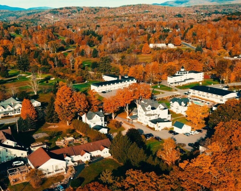 Market-party-x-wylder